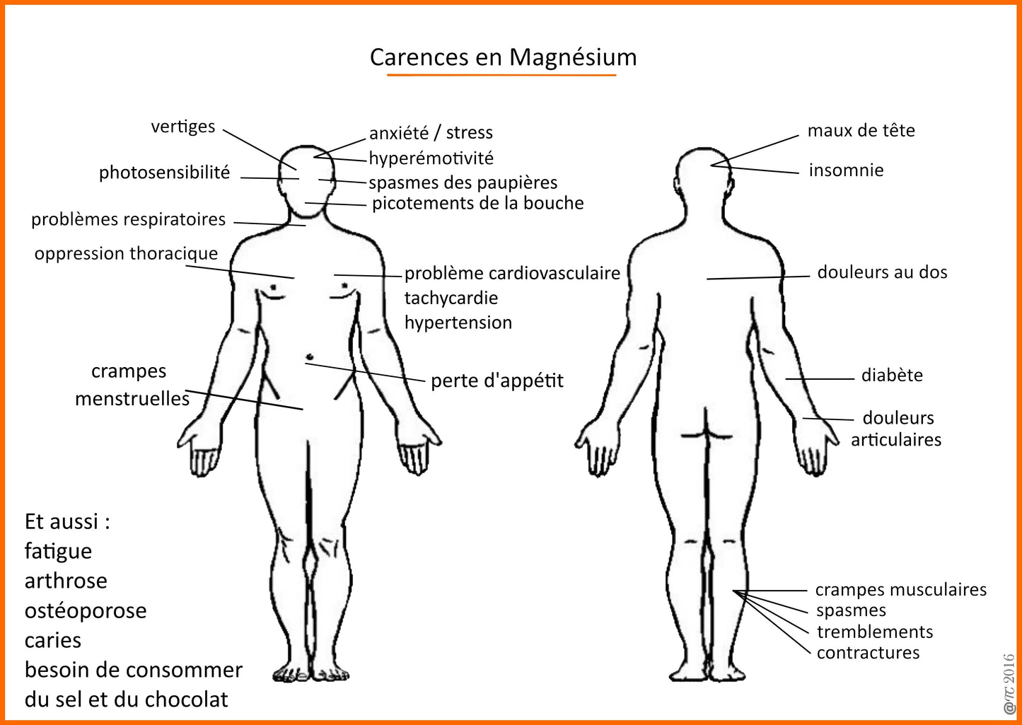 Magnésium hautement biodisponible NOVOMA