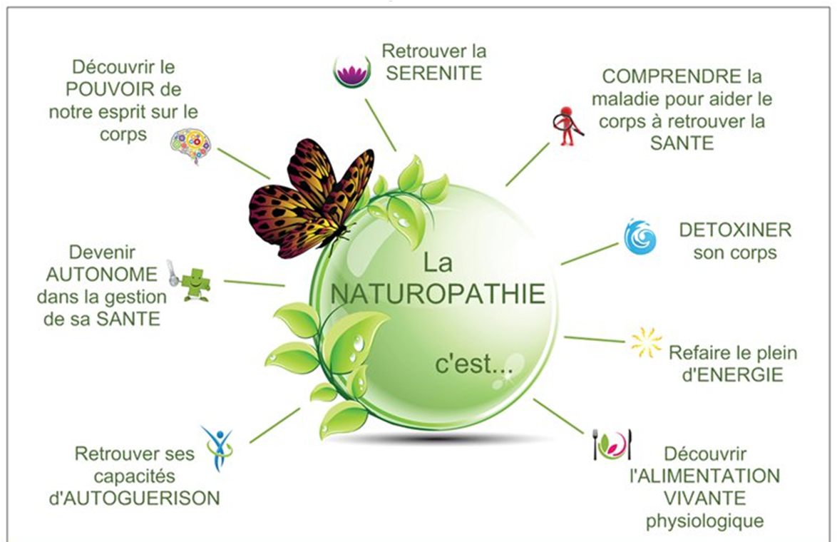 Formation 1 : Introduction à la naturopathie : anatomie, physiologie de l'homme. Notre corps et sa force vitale.