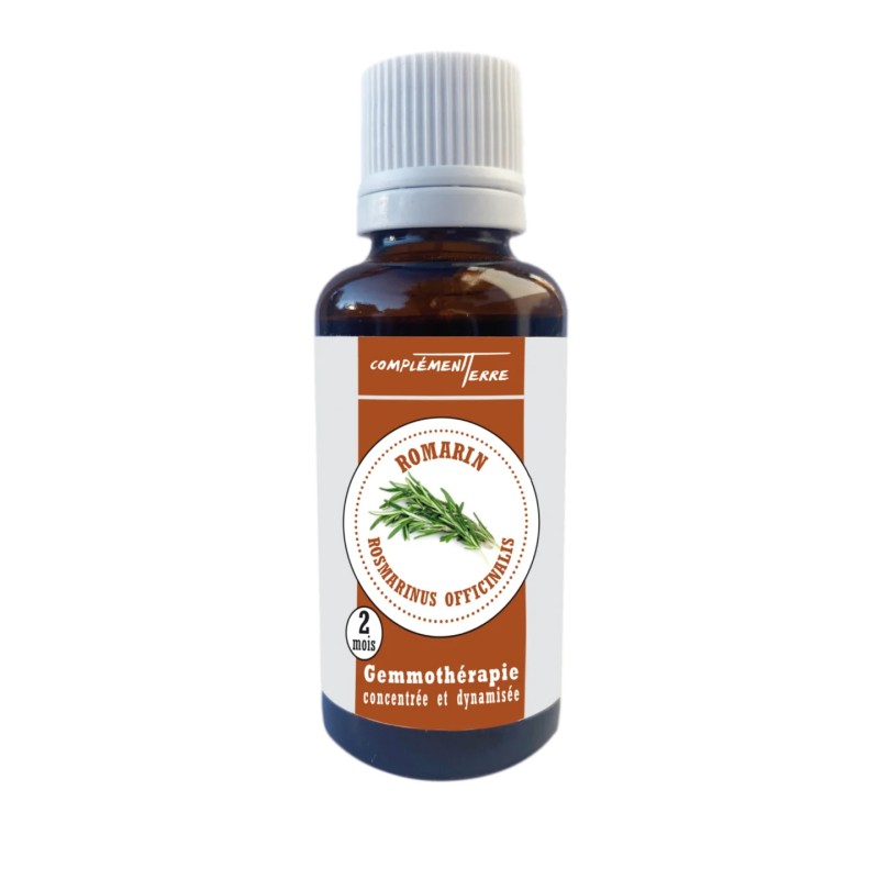 Gemmothérapie : le Romarin (l'allié du foie)