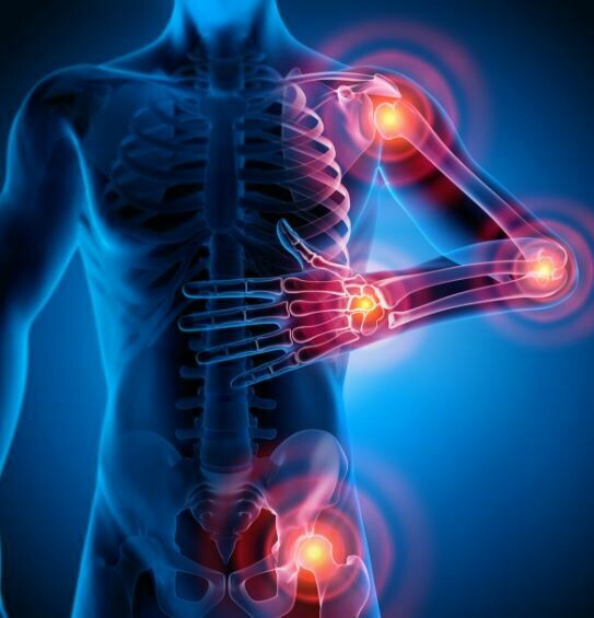 Natur'Cure articul (durée de la cure : 2 mois, 3 mois avec oméga 3)