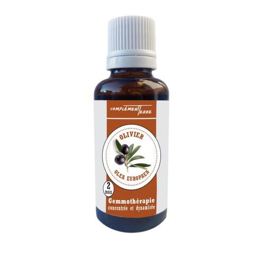 Gemmothérapie : l'Olivier (le bourgeon des troubles cardiovasculaires)