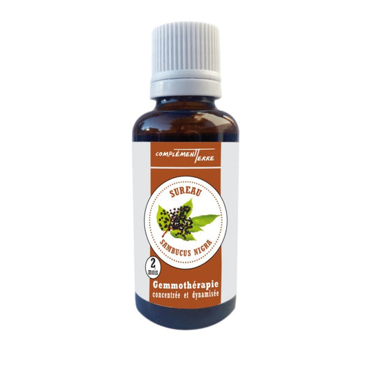 Gemmothérapie : le Sureau (le bourgeon du transit intestinal)