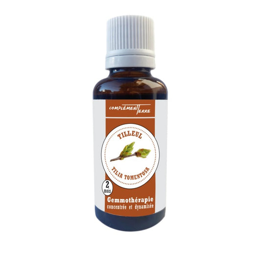 Gemmothérapie : le Tilleul (le bourgeon de la détente et du sommeil)